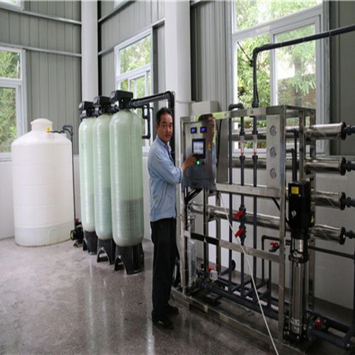 巢湖2噸二級反滲透純水機 計算機科技中的河水凈化與離子去除解決方案